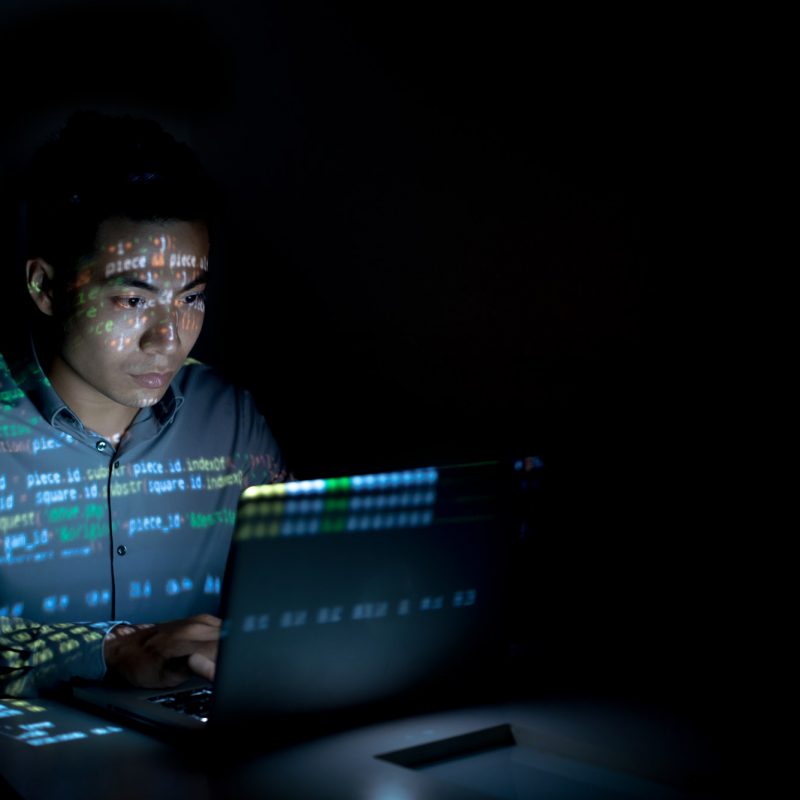Software developer